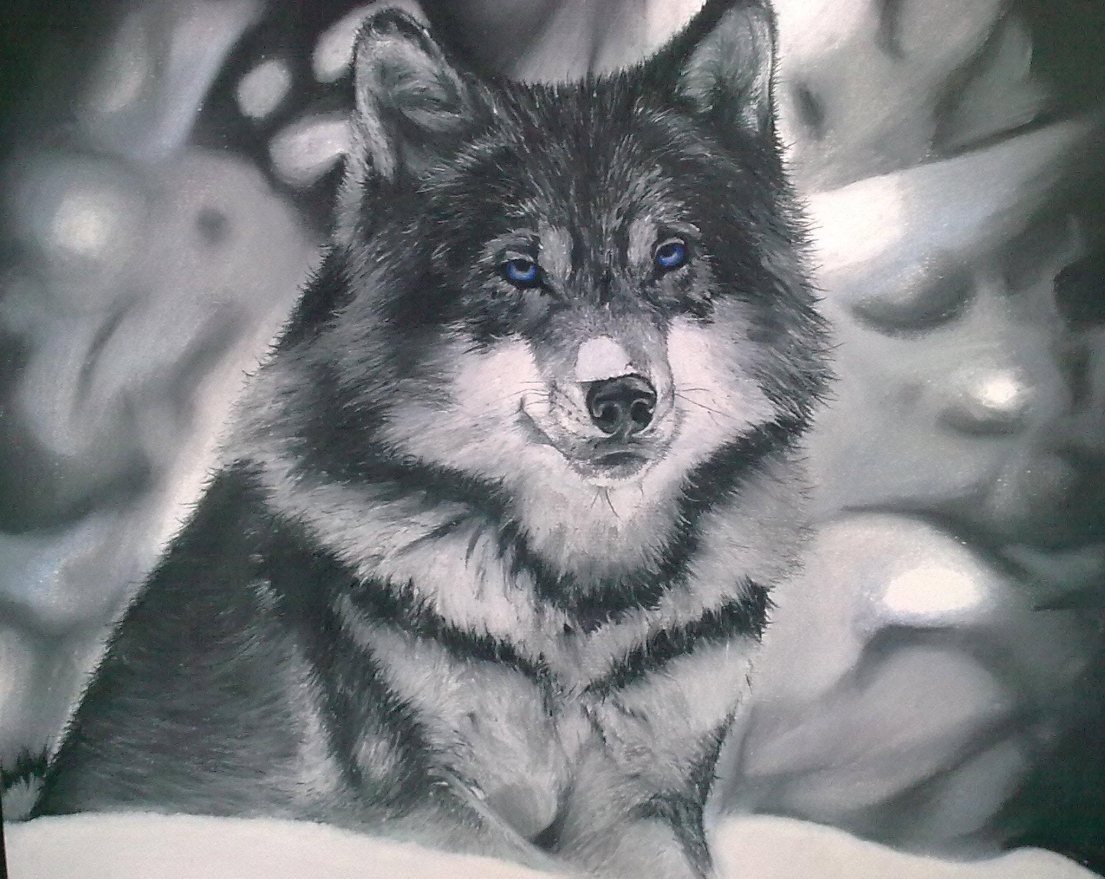 Monochrome portrait of a wolf with striking blue eyes